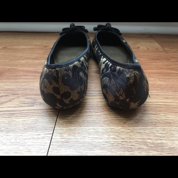 Ann Taylor Loft Flats - Picture 5 of 6